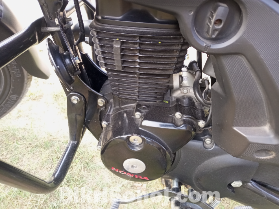 Honda shine 2023